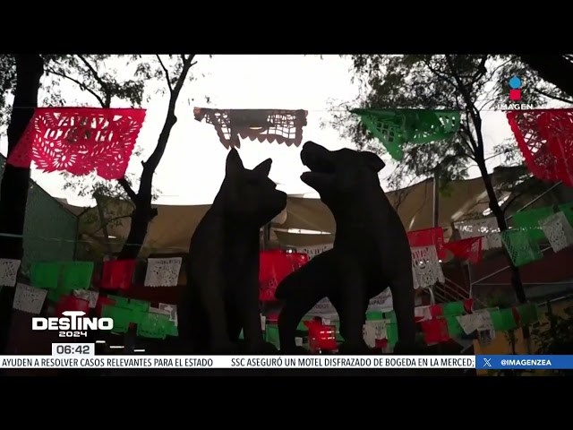 Hannah de Lamadrid habla de los principales problemas en la alcaldía Coyoacán