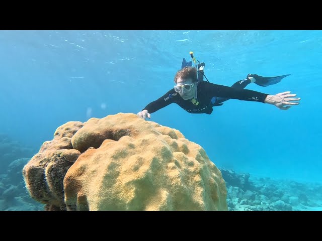 ⁣Bahamas - The Disappearing Islands: On Assignment | ITV News