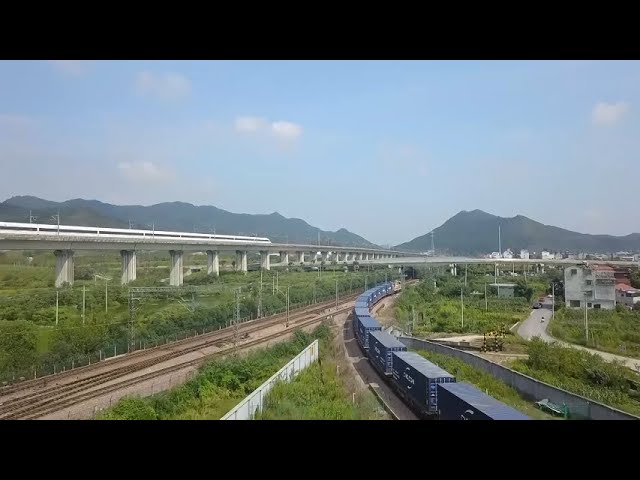 GLOBALink | China-Europe Railway Express vitalizes regions along its route: German expert