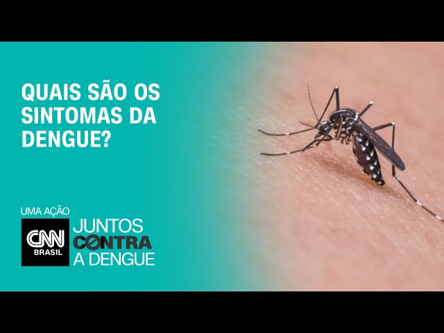 Quais são os sintomas da dengue? | LIVE CNN