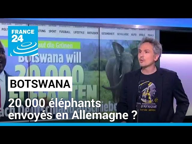 ⁣Botswana : 20 000 éléphants envoyés en Allemagne ? • FRANCE 24