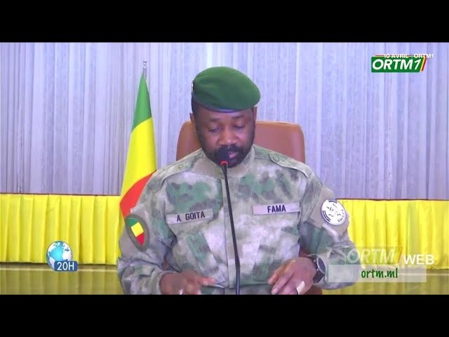 ⁣L'autorité malienne suspend les activités des partis et associations politiques • FRANCE 24
