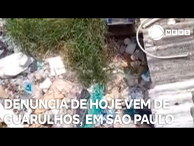 Record News contra a dengue: denúncia de hoje vem de Guarulhos, na região metropolitana de São Paulo