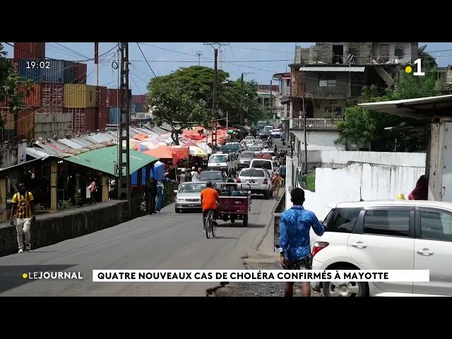 Quatre nouveaux cas de choléra confirmés à Mayotte