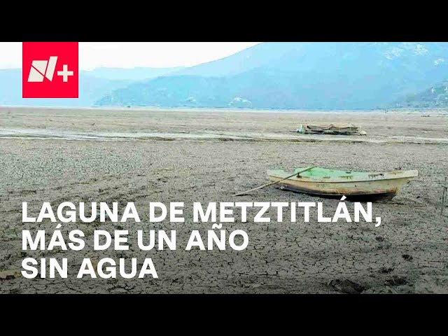 ⁣Laguna de Metztitlán lleva más de un año sin agua, temen convertirse en pueblo fantasma - En Punto