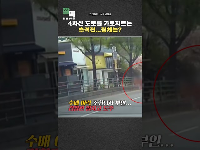 4차선 도로를 가로지르는 추격전...정체는? #shorts  / 연합뉴스TV (YonhapnewsTV)