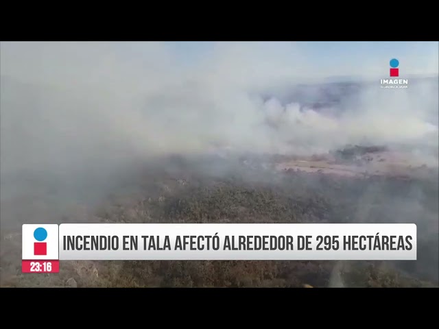 Incendio en Tala afectó alrededor de 295 hectáreas | Imagen Noticias GDL con Rey Suárez