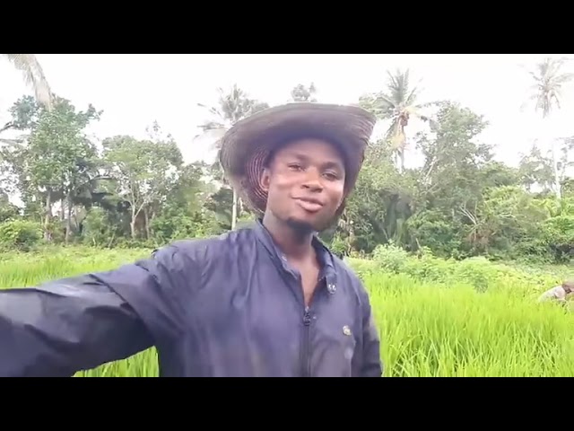 ⁣Mmadi Ahamada, ingénieur en travaux agricoles veut produire du riz aux Comores