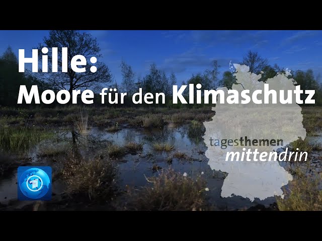 Hille: Moore für den Klimaschutz | tagesthemen mittendrin