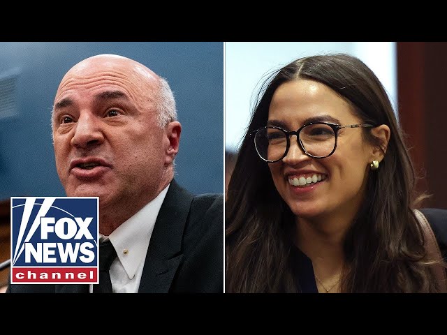 ⁣Kevin O'Leary tears into AOC: 'Wouldn't let her manage a candy store'