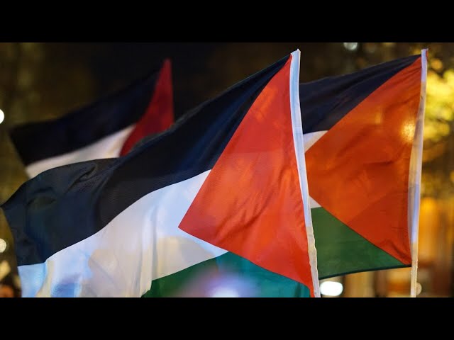 Pro-Palestinian protestors to ‘disrupt cities’ across the nation