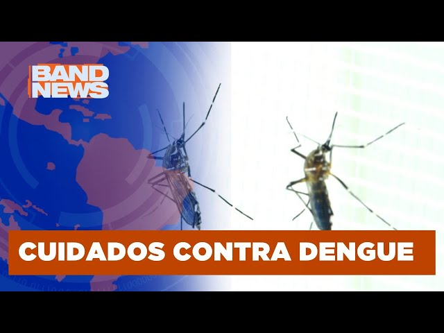 Você sabia? Mosquito da dengue também se prolifera em períodos frios | BandNews TV