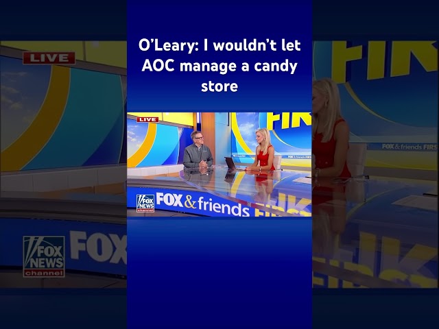 ⁣Kevin O’Leary torches AOC: She’s TERRIBLE! #shorts