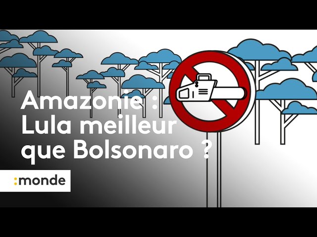 Le président Lula face à la déforestation de l'Amazonie