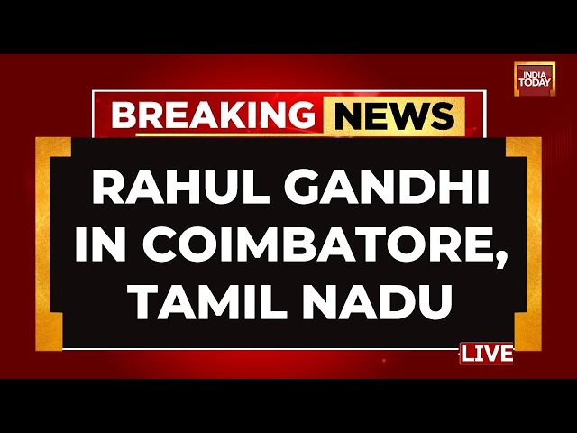 Rahul Gandhi LIVE: Rahul Gandhi's Mega Speech In Coimbatore, Tamil Nadu | Congress LIVE News