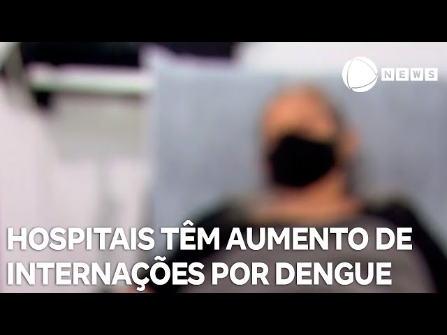 Hospitais privados têm aumento de internações por dengue
