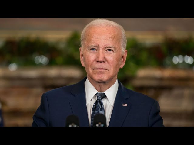 ‘Blindly praising’ Joe Biden: Leftist TV panel tries to gaslight struggling Americans