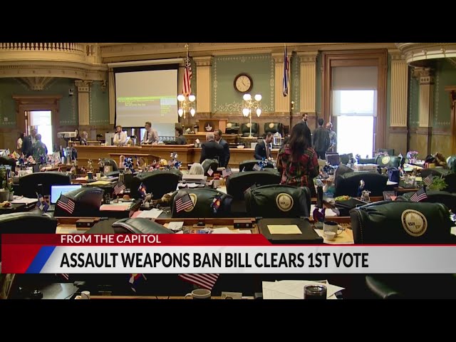 ⁣'Assault weapons' ban clears first vote in Colorado House