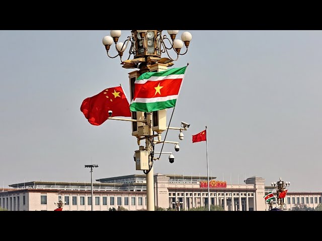 ⁣Expert: China, Suriname to focus on investment and trade cooperation