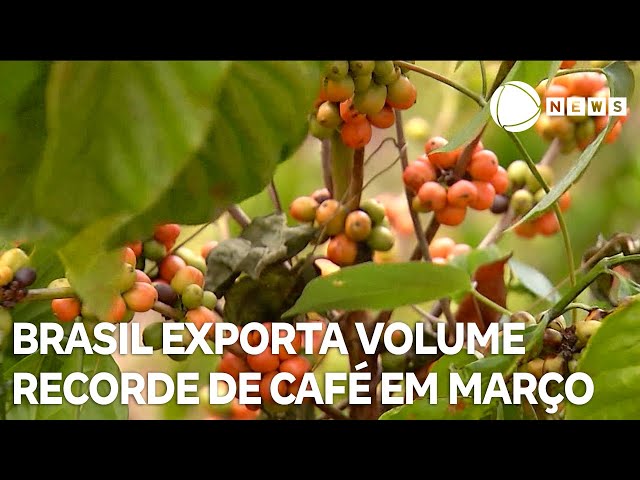 ⁣Brasil exporta volume recorde de café em março