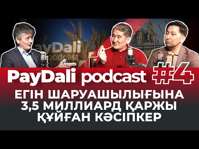 PayDali Podcast: Әліби Бекжанов