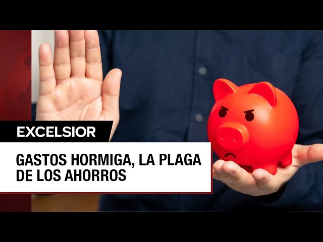 Los gastos hormiga, los enemigos del ahorro