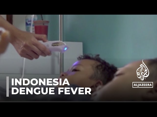 Dengue fever: Indonesia cases double compared to last year