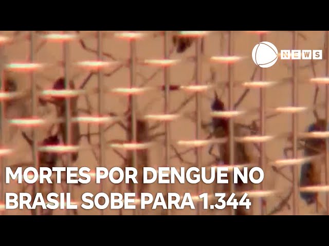 Número de mortos por dengue no Brasil sobe para 1.344