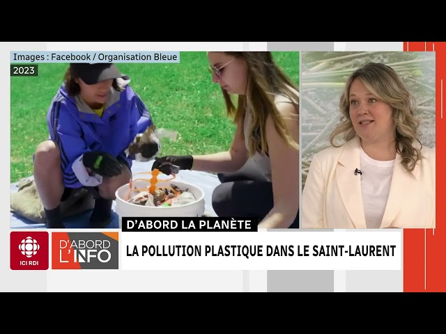 ⁣La pollution plastique dans le Saint-Laurent | D'abord l'info