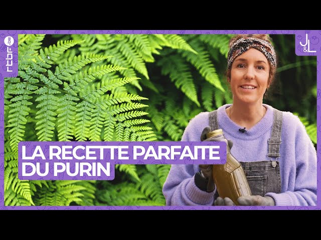 Purin : la recette magique pour des plantations en bonne santé | Jardins et Loisirs