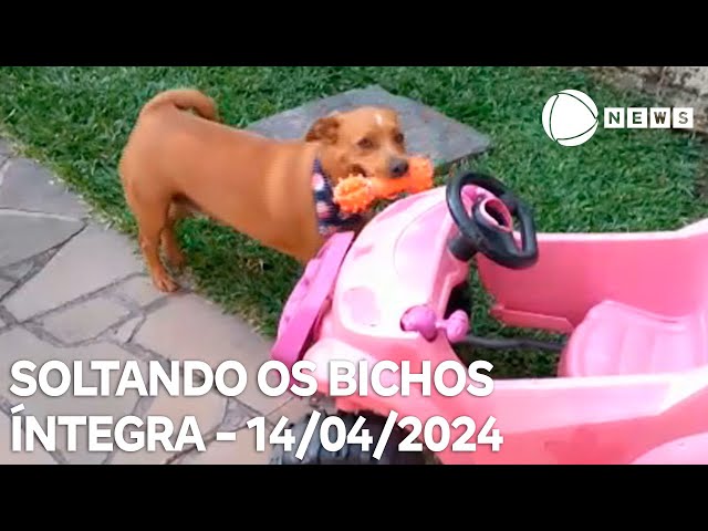 Soltando os Bichos - 14/04/2024