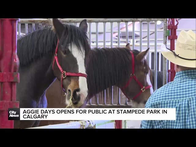 Aggie days open for public at Stampede Park in Calgary