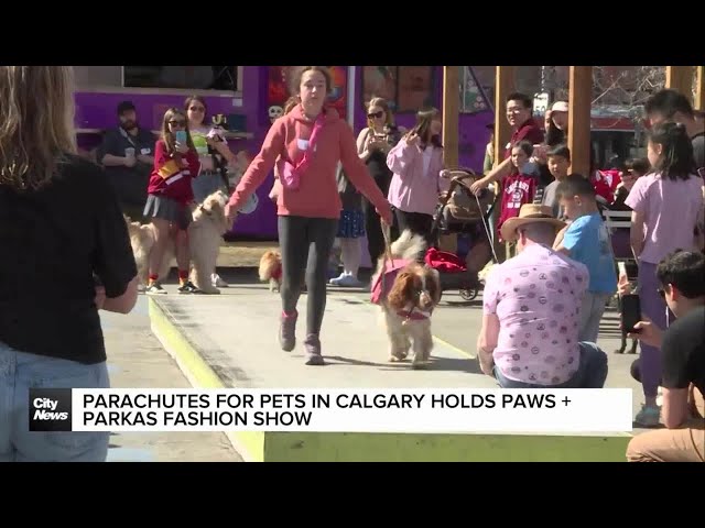 Parachutes for Pets in Calgary holds Paws + Parkas Fashion Show