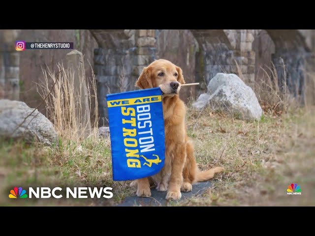 ⁣Legacy of the Boston Marathon’s beloved official dog lives on