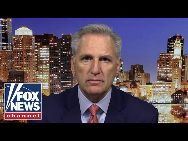 ⁣Kevin McCarthy: The American people have woken up