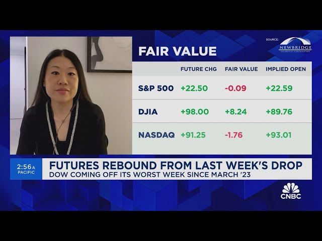 ⁣Hedging is currently cheap relative to historical levels, says Amy Wu Silverman