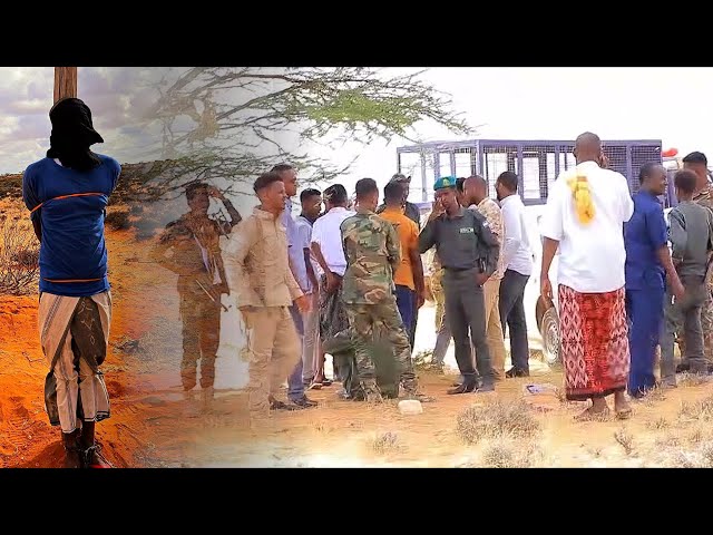 Maxkamadda darajada koowaad ee Puntland oo qisaas dil ah ku fulisay Danbiile Maxamed Abshir Cabdille