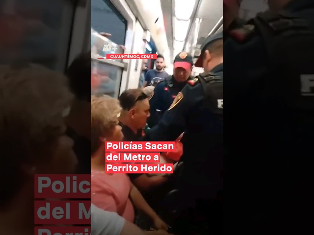 Policías sacan del Metro a hombre que llevaba a su perrito herido #nmas #shorts #metrocdmx