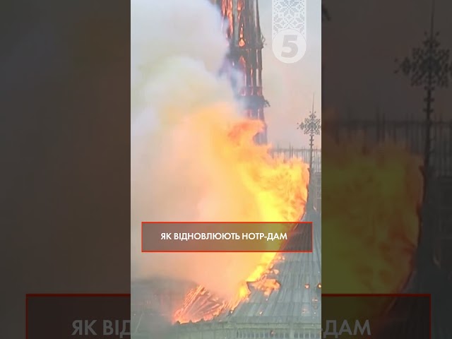 ⁣⚡Як відновлюють Нотр-Дам