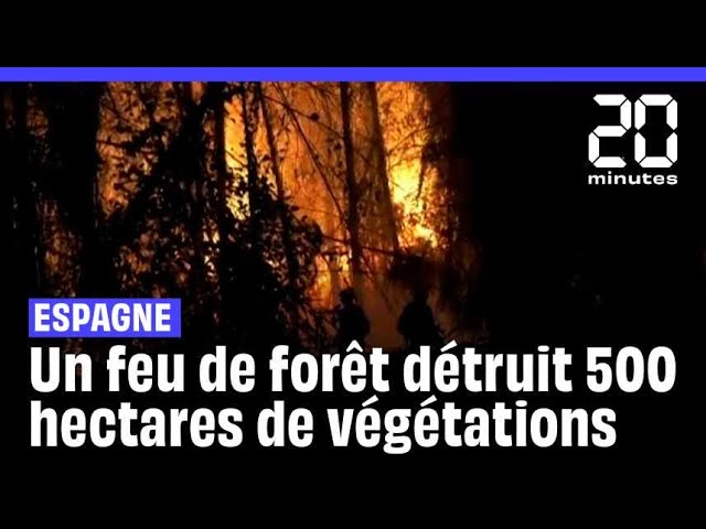 ⁣Espagne : 180 personnes évacuées, 500 hectares de forêt brûlés dans un incendie #shorts