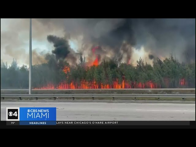 Miami-Dade Fire Rescue and Florida Forest Service battle brush fires