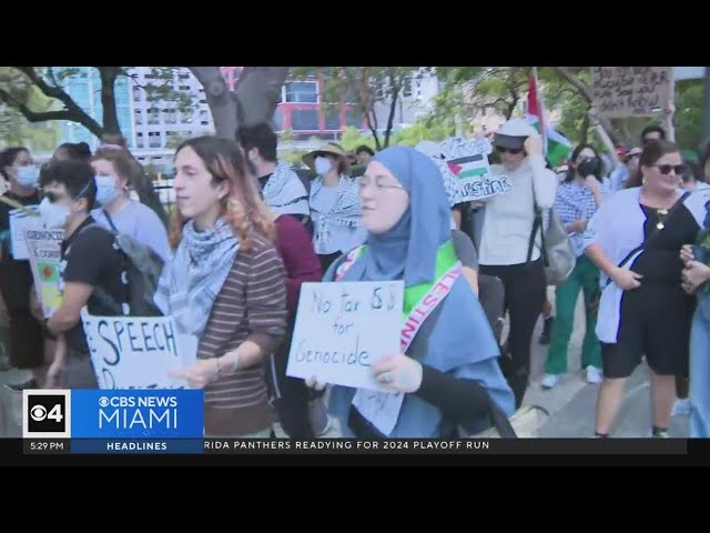 Pro-Palestinian rally held in Miami