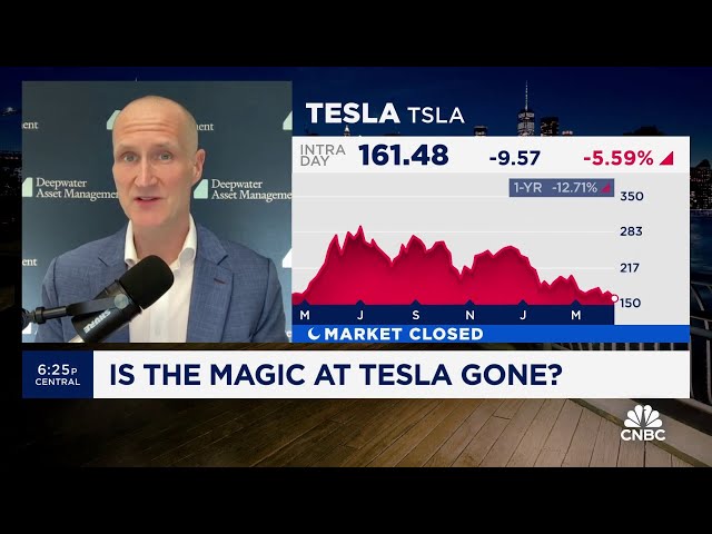 ⁣Tesla is still a growth story, just 'not for the next year,' says Deepwater's Gene Mu