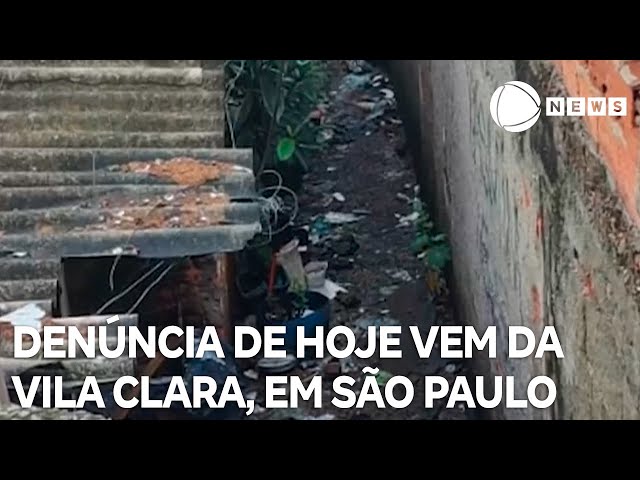 Record News contra a dengue: denúncia de hoje vem da Vila Clara, na zona sul de São Paulo