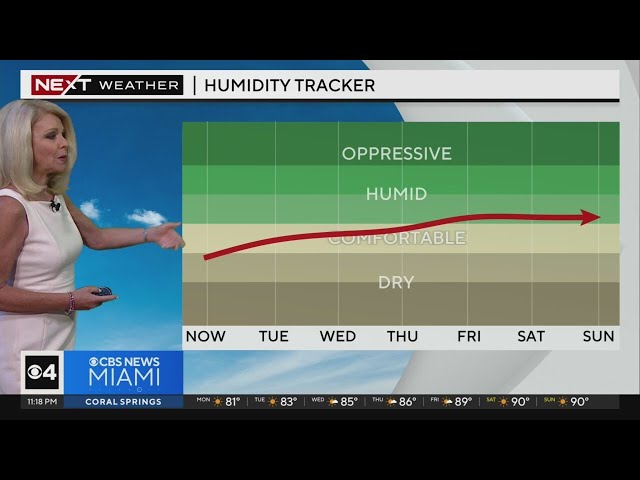 Miami weather for Monday 4/15/24 11PM