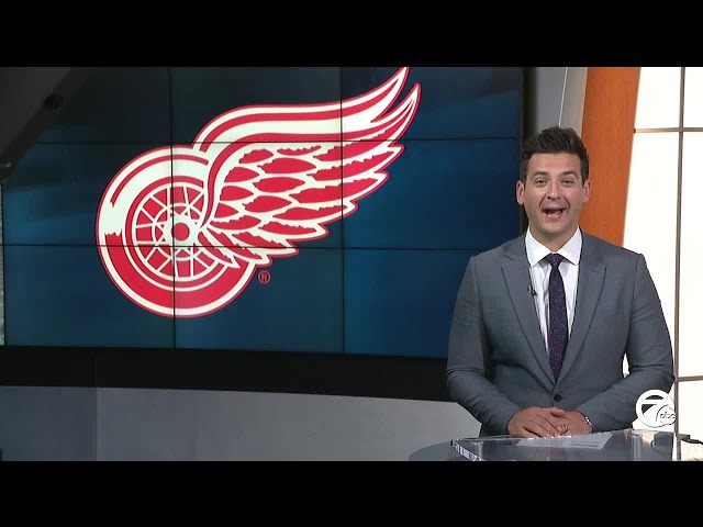 Red Wings keep playoff hopes alive, come back to beat Canadiens in OT