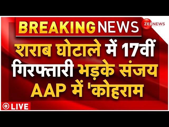 Sanjay Singh on Kejriwal-Mann Tihar Meeting LIVE: शराब घोटाले में 17वीं गिरफ्तारी,  AAP में कोहराम