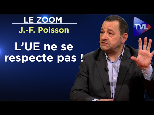 Nous sommes des militants pour la Paix - Le Zoom - Jean-Frédéric Poisson - TVL