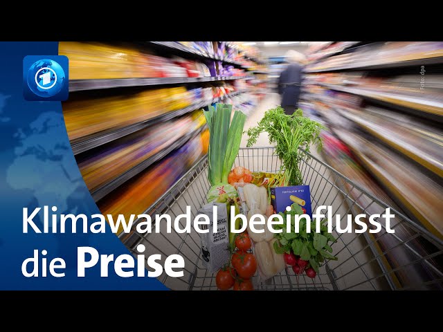 ⁣Klimawandel beeinflusst Lebensmittelpreise