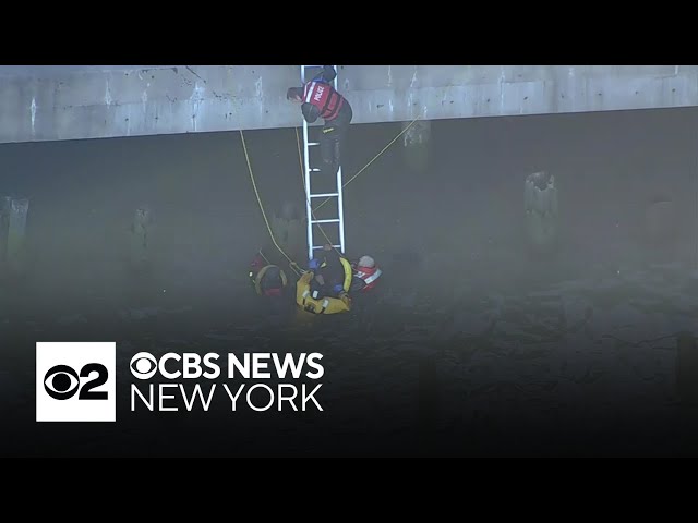 Hudson River water rescue caught on video